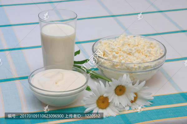 牛奶；酸奶油和干酪