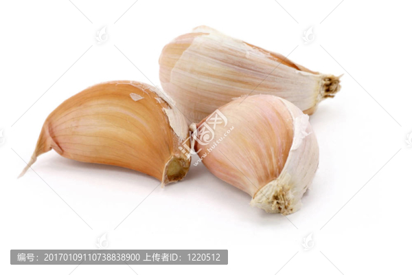 大蒜-匯圖網(wǎng) www.fosd68.com 大蒜