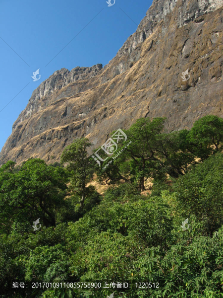 山體綠化