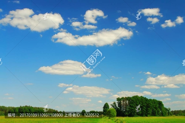 春天的風(fēng)景