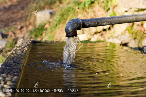 龍頭2