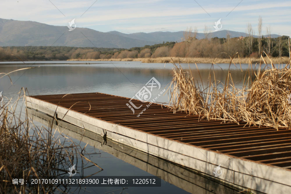 湖碼頭