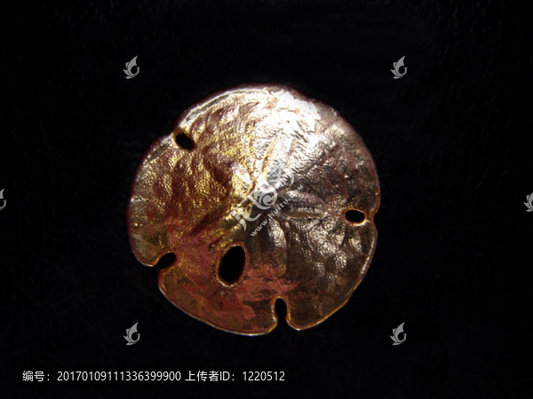 沙錢5