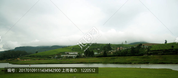 斯里蘭卡茶園