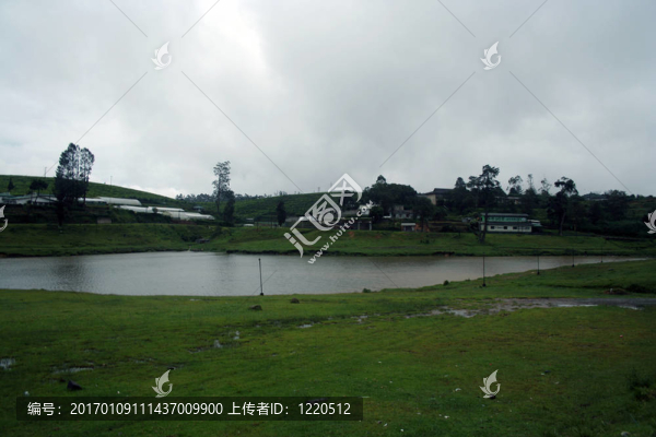 斯里蘭卡茶園