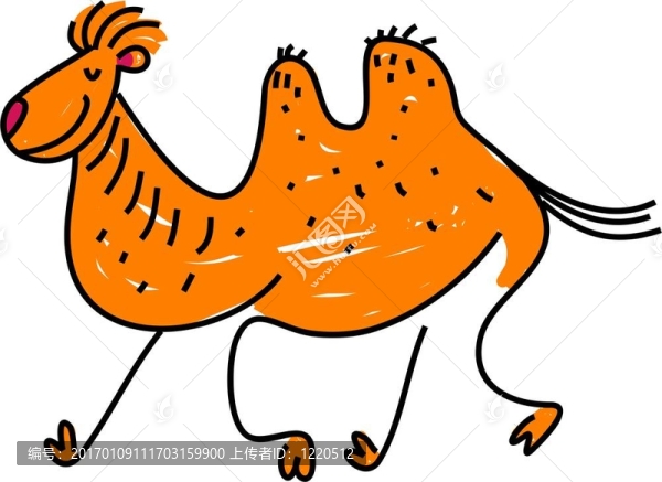 駱駝