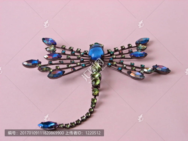 蜻蜓胸針-匯圖網(wǎng) www.fosd68.com 蜻蜓胸針
