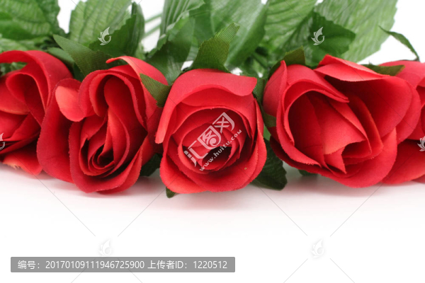 紅玫瑰