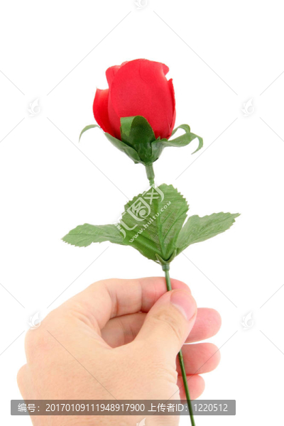 捧著一朵紅玫瑰
