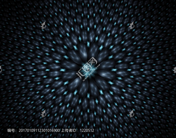 皮革的星星