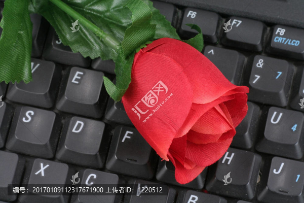 紅玫瑰與鍵盤