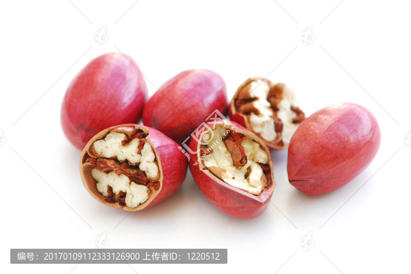 山核桃-匯圖網(wǎng) www.fosd68.com 山核桃