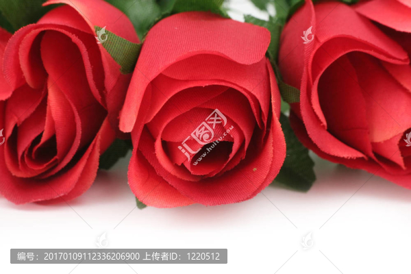 紅玫瑰