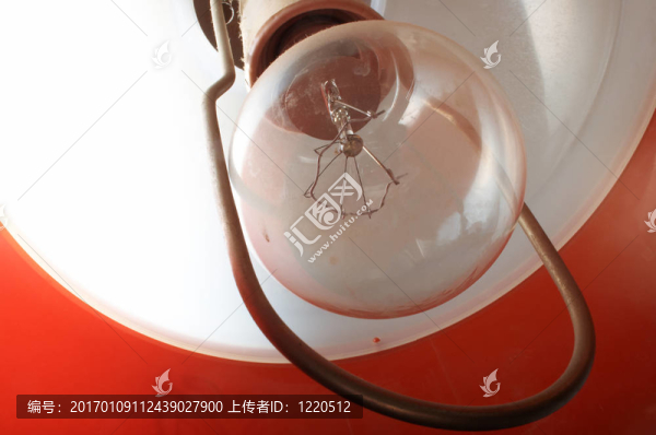 電燈泡