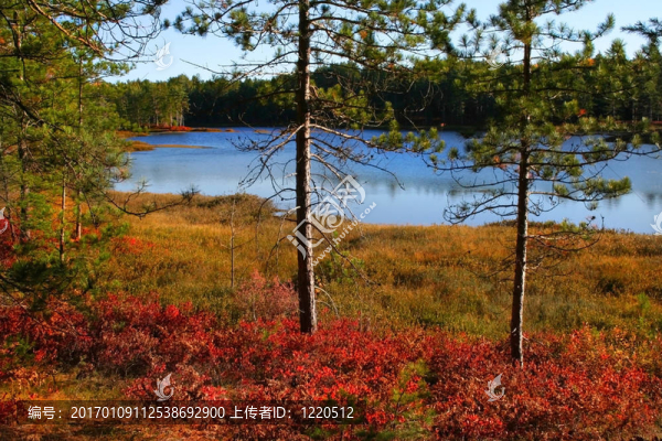 秋天的場(chǎng)景