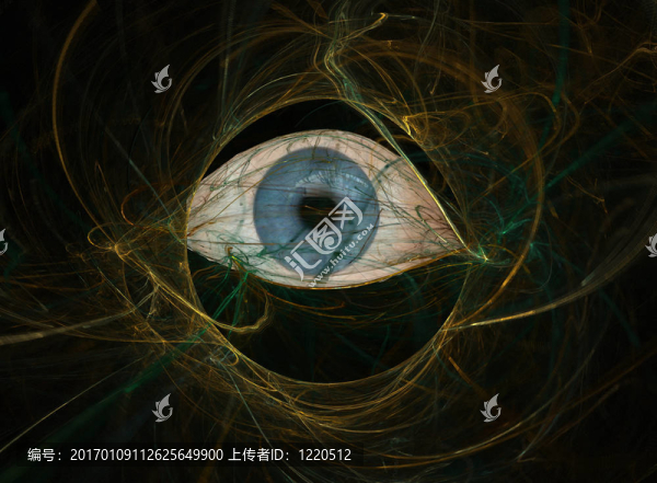 眼睛的復(fù)雜性