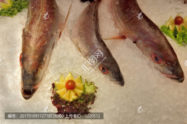 魚(yú)市場(chǎng)