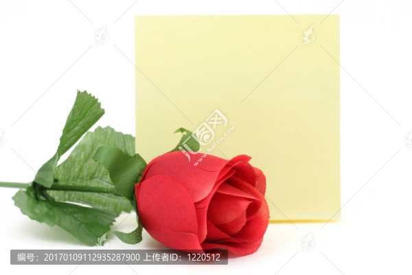 紅玫瑰和信紙-匯圖網(wǎng) www.fosd68.com 紅玫瑰和信紙