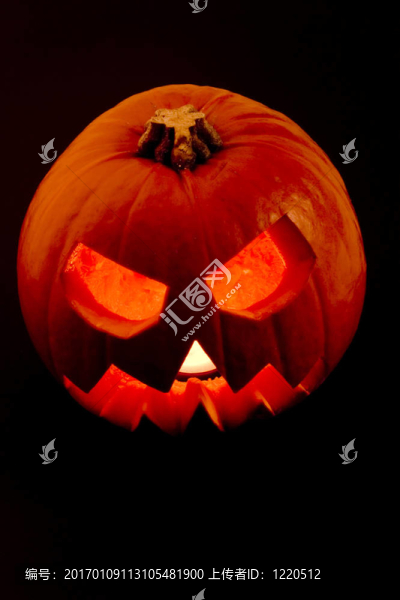 萬(wàn)圣節(jié)南瓜-匯圖網(wǎng) www.fosd68.com 萬(wàn)圣節(jié)南瓜
