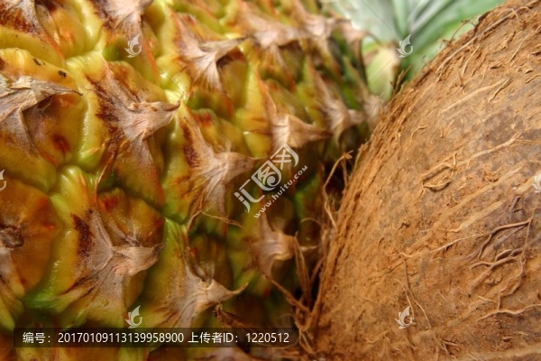 菠蘿椰子