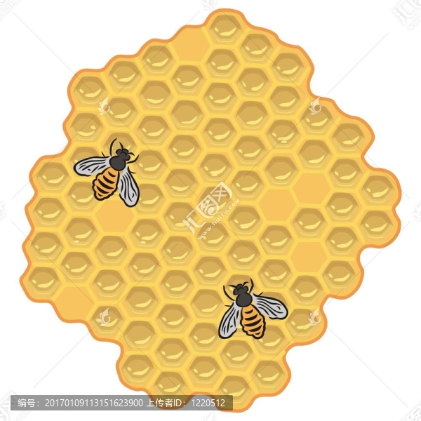 蜜蜂和蜂蜜