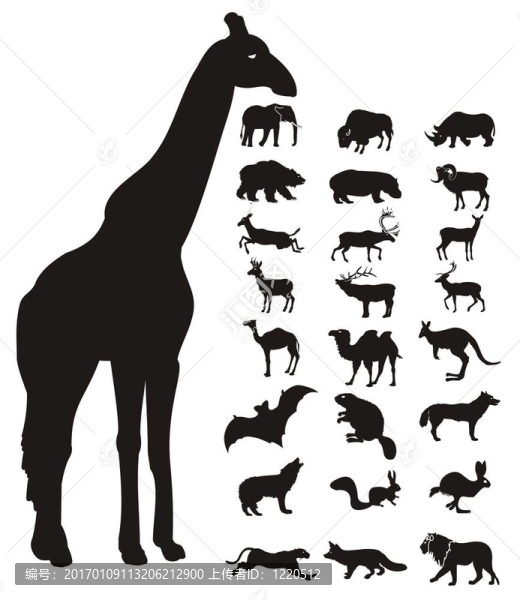野生動物的圖標(biāo)