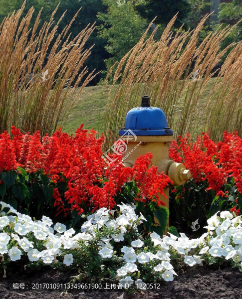 花栓