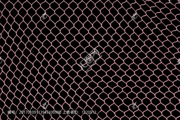 粉紅色的網(wǎng)-匯圖網(wǎng) www.fosd68.com 粉紅色的網(wǎng)