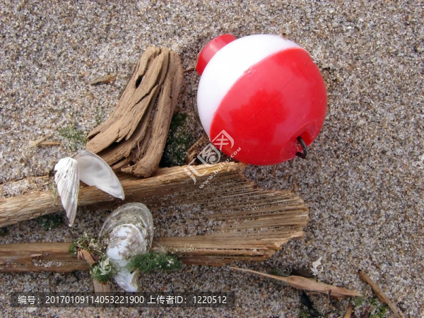 釣魚浮漂