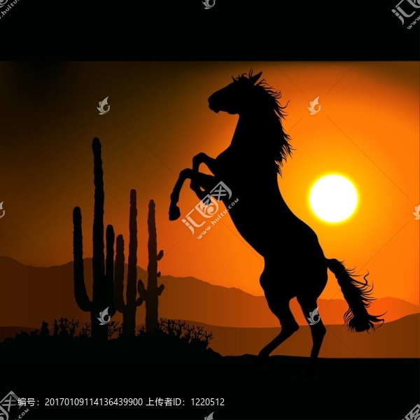 Horse,Silhouette