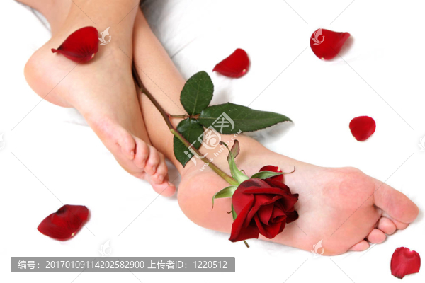 腳和羅絲