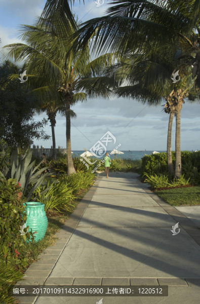 美麗的熱帶海濱人行道
