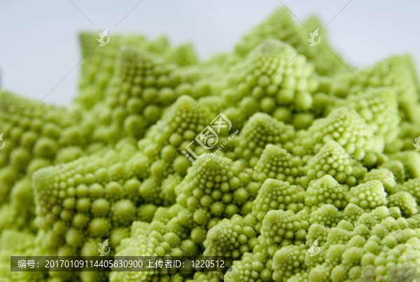 分形蔬菜