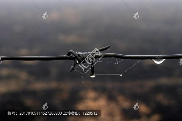 帶刺的