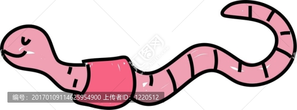 蠕蟲(chóng)