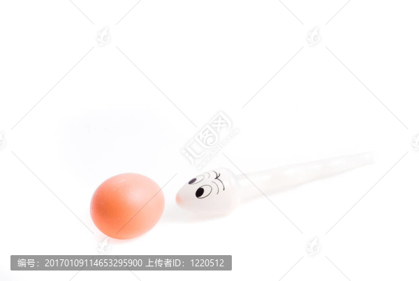 游動精子