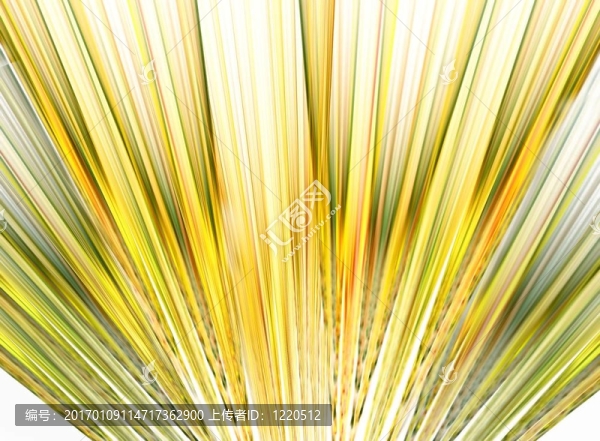 麥田-匯圖網(wǎng) www.fosd68.com 麥田