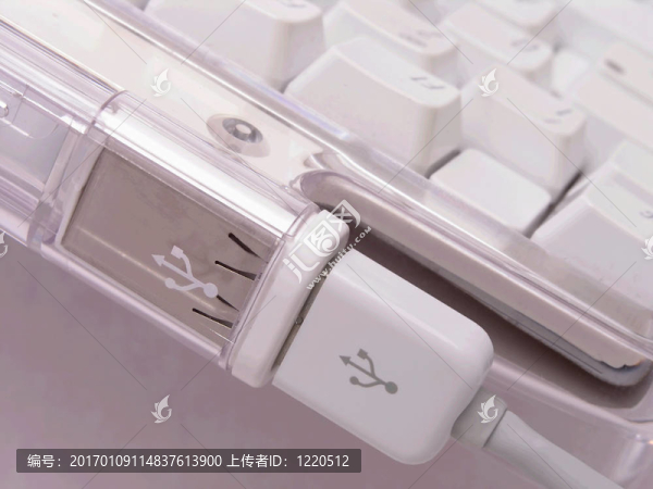 鍵盤上的2個USB接口
