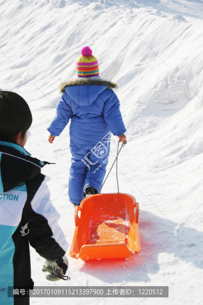 在雪中的冬天-匯圖網(wǎng) www.fosd68.com 在雪中的冬天