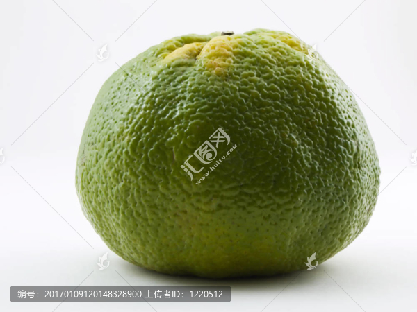 橘柚