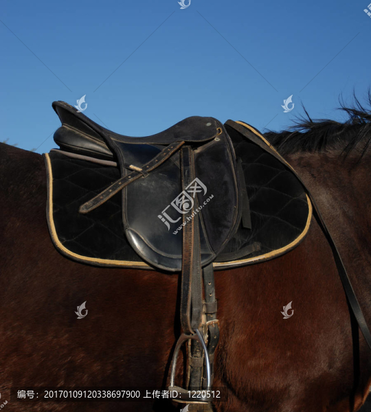 英語(yǔ)鞍-匯圖網(wǎng) www.fosd68.com 英語(yǔ)鞍