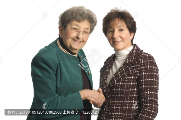 高管團(tuán)隊(duì)