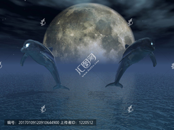 大月亮-匯圖網(wǎng) www.fosd68.com 大月亮