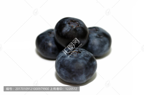 四漿果