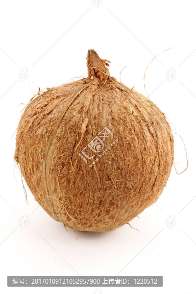 一個(gè)孤立的椰子