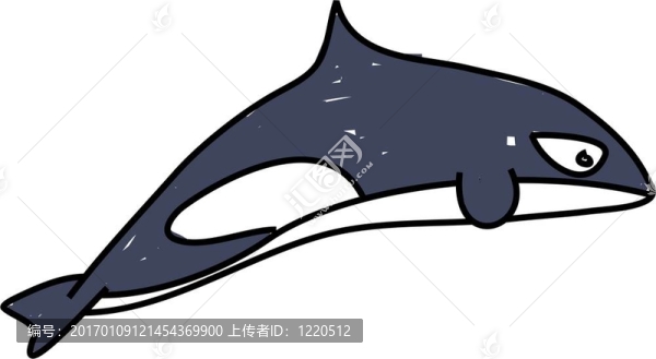 虎鯨
