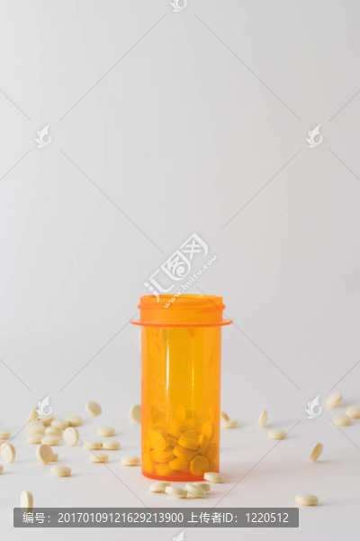 在BTL丸