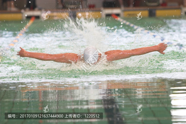 游蝶-匯圖網(wǎng) www.fosd68.com 游蝶