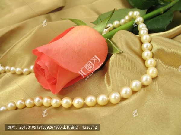 粉紅玫瑰和珍珠緞