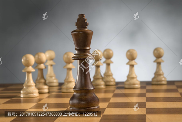 木制棋子-匯圖網(wǎng) www.fosd68.com 木制棋子